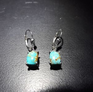 Natural South Hill Turquoise Earrings l10